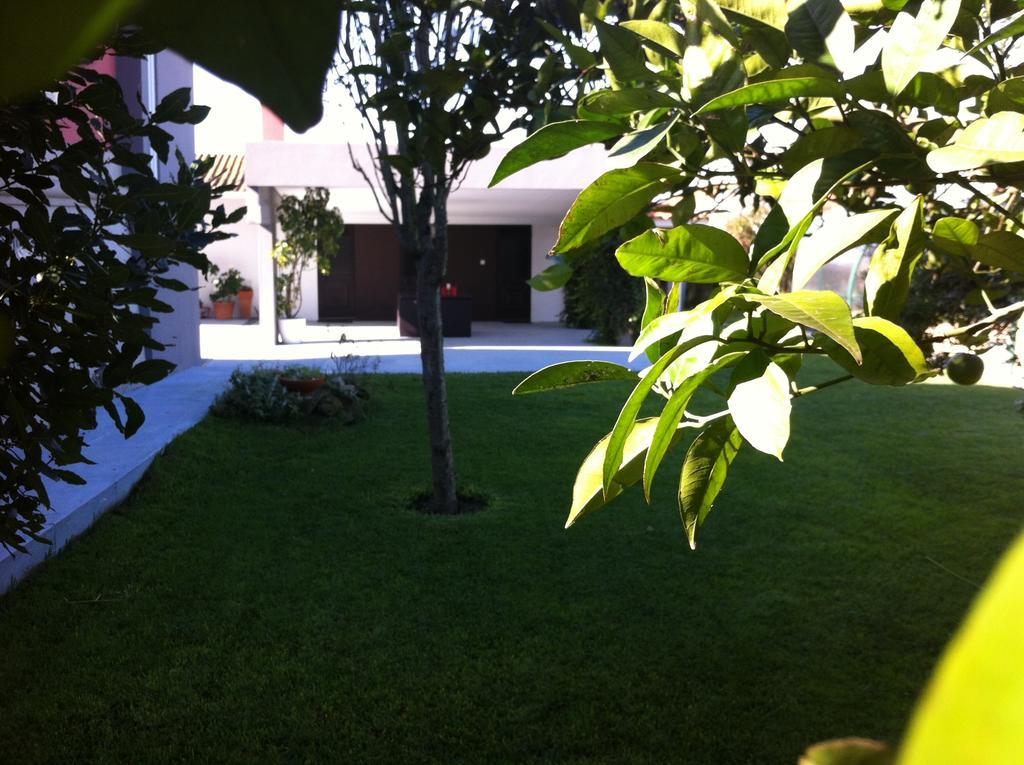 Casa Do Sino De Aveiro Villa Estarreja Kamer foto